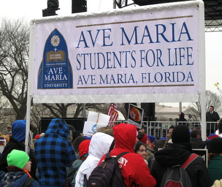 Ave Maria Students for Life banner