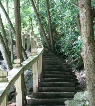 Stairway in a Maryland park