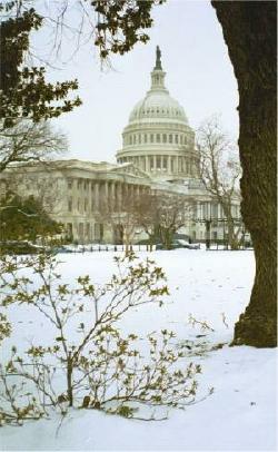 The Capitol, Washington, DC, with overcast sky and snow on the ground