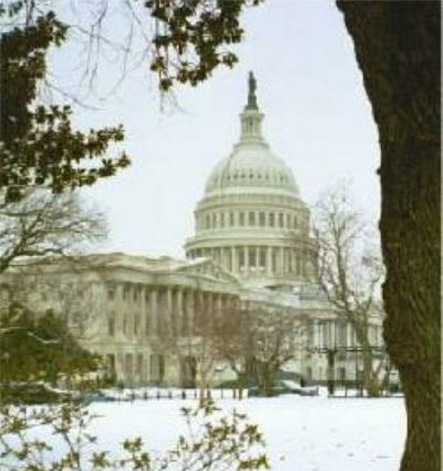U.S. Capitol Building in the snow