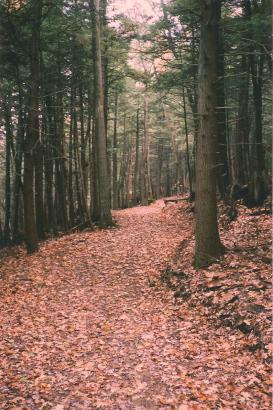 Mountain Trail in Autumn