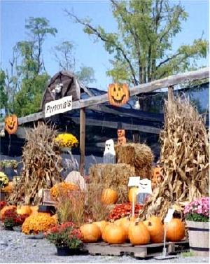 Outdoor display of pumpkins and Halloween decorations