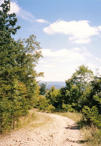 Winding mountain trail